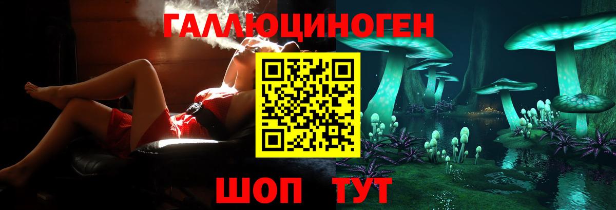Можга  Галлюциногенные грибы прущие грибы  Вход с VPN  Галлюциногенные грибы Magic Shrooms 